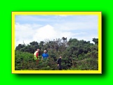 Click to enlarge